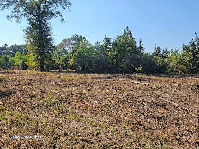 2540 Brentwood Dr, Lufkin, TX 75901 - view of nature