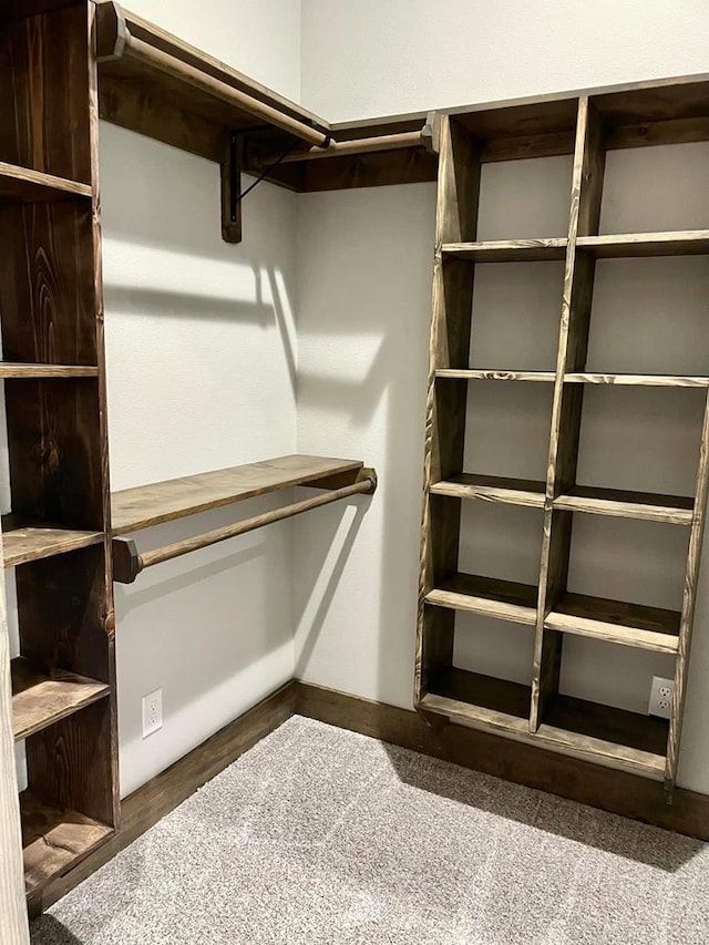spacious closet with carpet floors