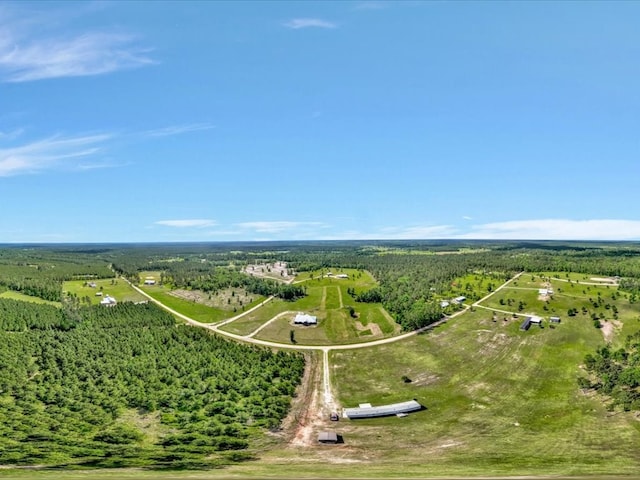 bird's eye view featuring a view of trees