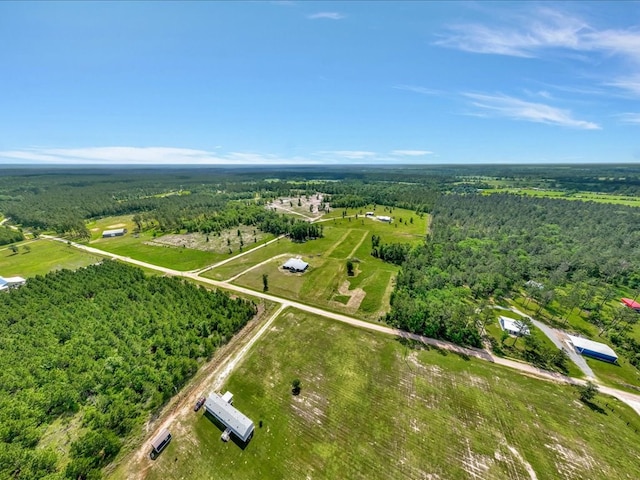 bird's eye view with a wooded view