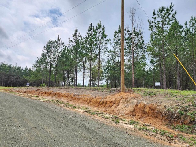980 County Road 1060, Center, TX 75935 - photo 5