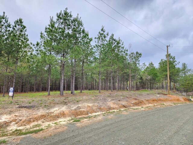 980 County Road 1060, Center, TX 75935 - photo 6