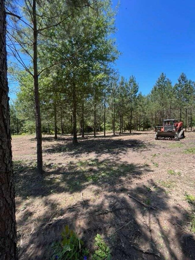 980 County Road 1060, Center, TX 75935 - photo 9