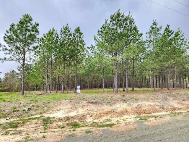 980 County Road 1060, Center, TX 75935 - photo 7
