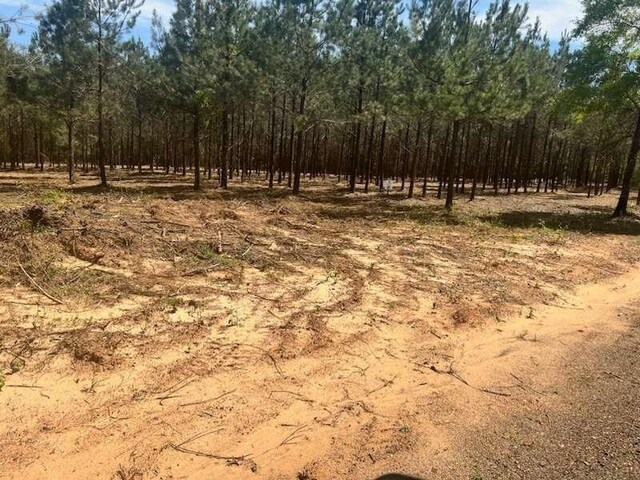 980 County Road 1060, Center, TX 75935 - photo 10