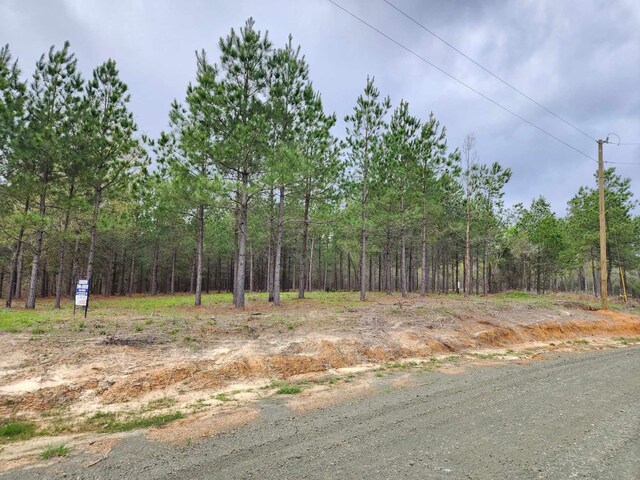 980 County Road 1060, Center, TX 75935 - photo 8