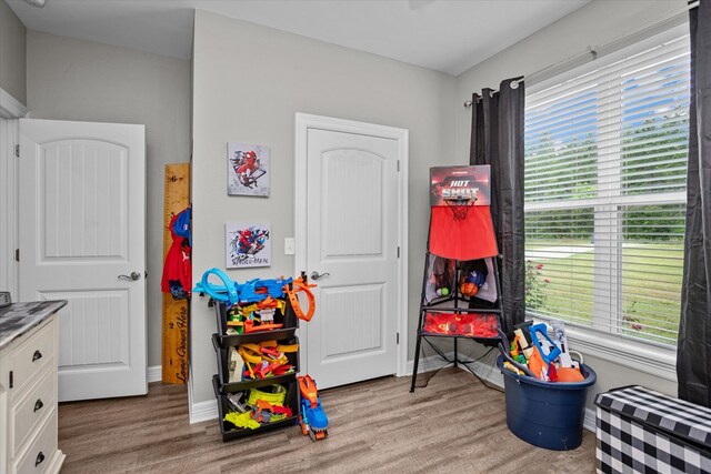 1755 Cc Rd, Diboll, TX 75941 - rec room featuring plenty of natural light and light wood-style flooring