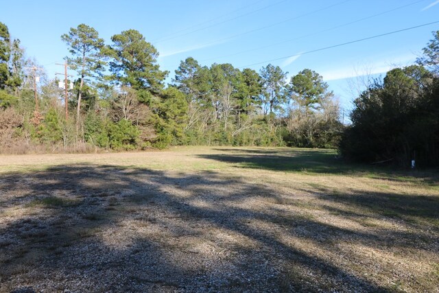 4190 US Highway 96 N, Jasper, TX 75951 - photo 10