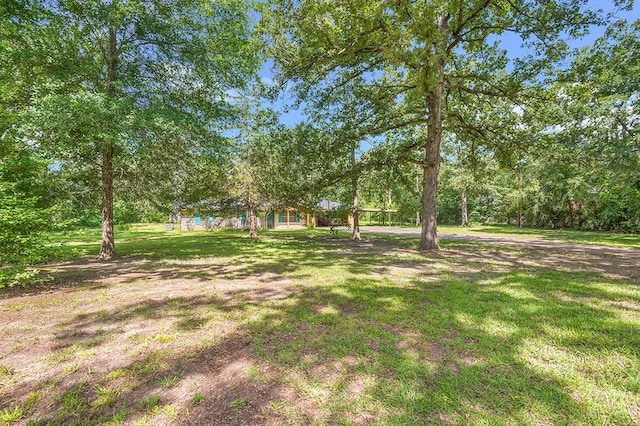 131 Lancewood Cir, Lufkin, TX 75904 - photo 27