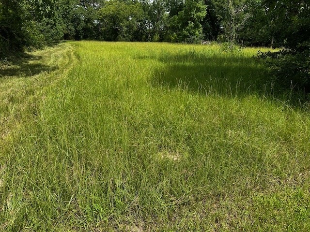 1016 Holubec, Diboll, TX 75941