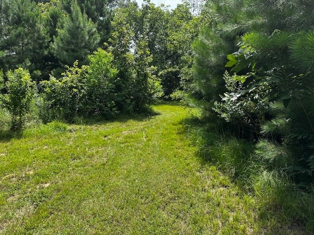 1016 Holubec, Diboll, TX 75941