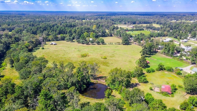 birds eye view of property with a forest view and a water view