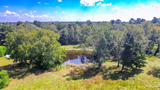 water view featuring a wooded view