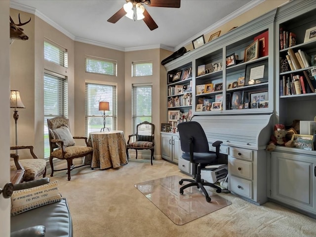 carpeted office space featuring ceiling fan and ornamental molding