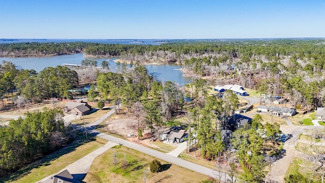 270 Lakeshore Dr, Brookeland, TX 75931 - aerial view of a nearby body of water and a forest
