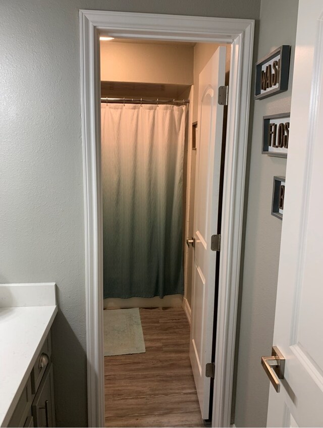 270 Lakeshore Dr, Brookeland, TX 75931 - full bathroom featuring vanity, wood finished floors, and a shower with curtain
