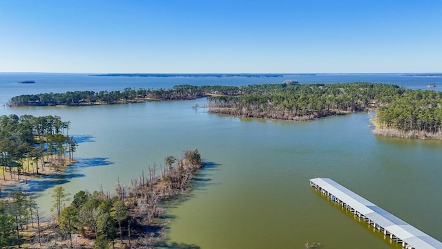 270 Lakeshore Dr, Brookeland, TX 75931 - water view