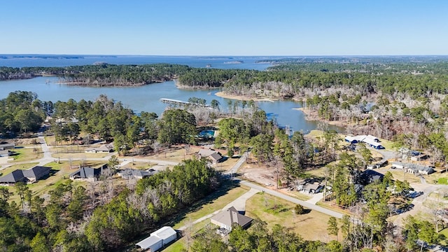 270 Lakeshore Dr, Brookeland, TX 75931 - view of property location with a large body of water