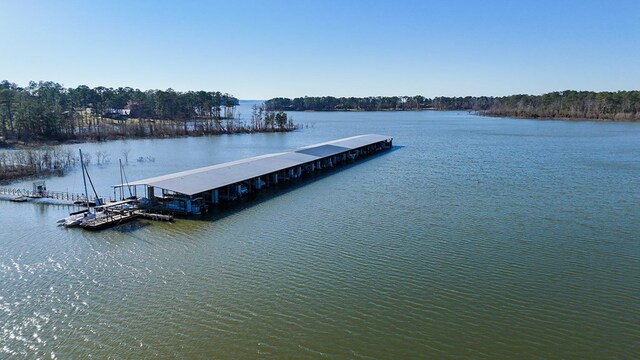 270 Lakeshore Dr, Brookeland, TX 75931 - dock area with a water view