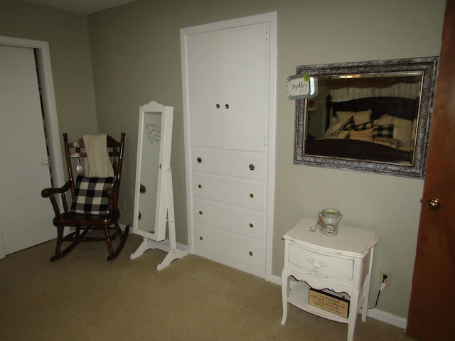 living area with carpet