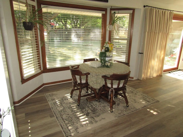 dining room with dark hardwood / wood-style flooring and a wealth of natural light