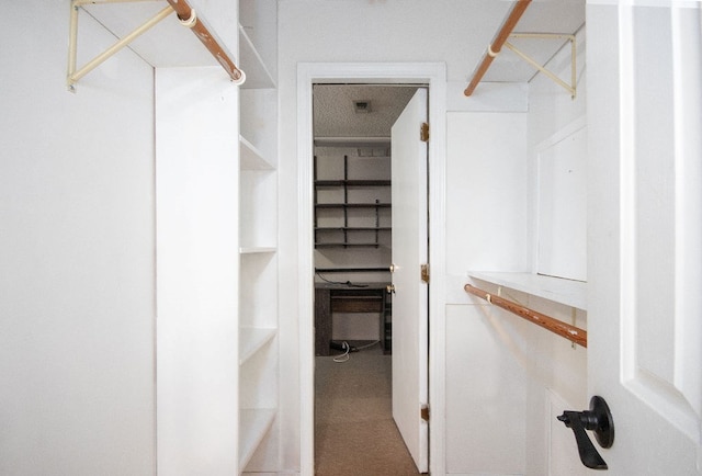 spacious closet featuring carpet floors