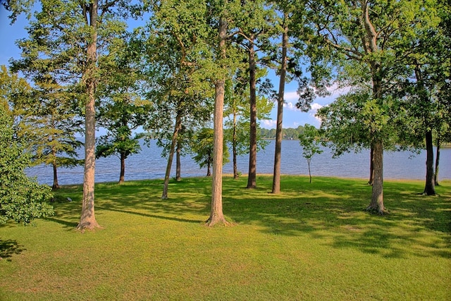 400 Kalyn Dr, Hemphill, TX 75948 - photo 15