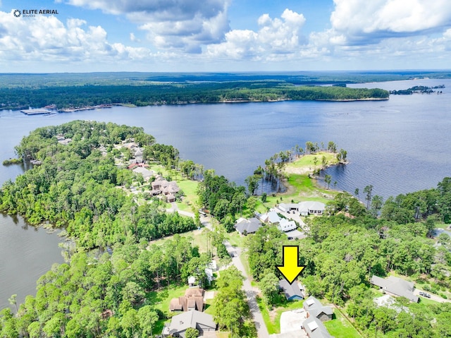 1594 Beachrock Dr, Brookeland, TX 75931 - drone / aerial view of a large body of water
