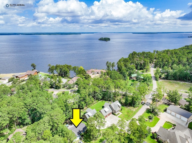 1594 Beachrock Dr, Brookeland, TX 75931 - aerial view of a large body of water