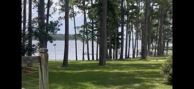 1594 Beachrock Dr, Brookeland, TX 75931 - view of yard featuring a water view
