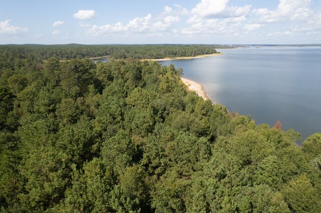 28125LOT109 Fm 705, Broaddus, TX 75972