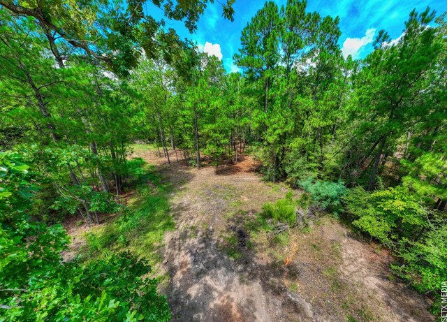 6566 Parkside Dr, Brookeland, TX 75931