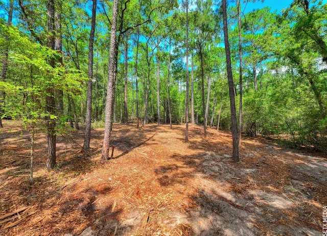 6566 Parkside Dr, Brookeland, TX 75931