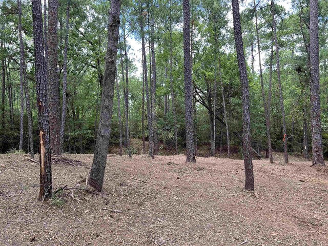 6566 Parkside Dr, Brookeland, TX 75931