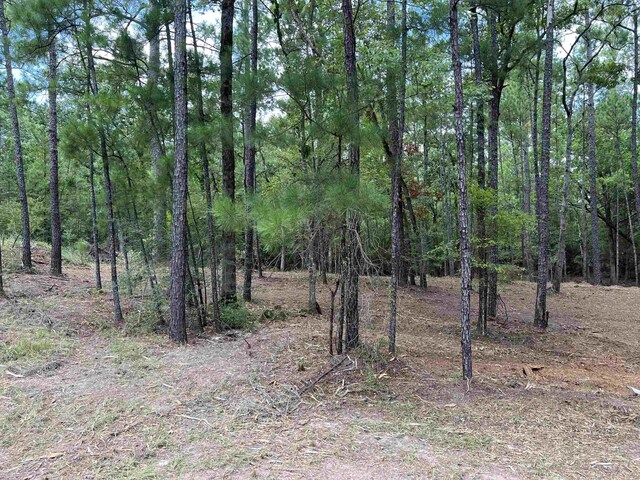 6566 Parkside Dr, Brookeland, TX 75931