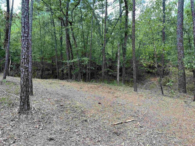 6566 Parkside Dr, Brookeland, TX 75931