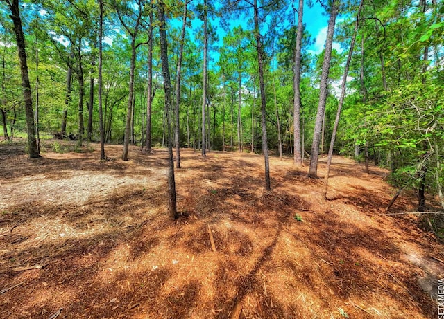 6566 Parkside Dr, Brookeland, TX 75931