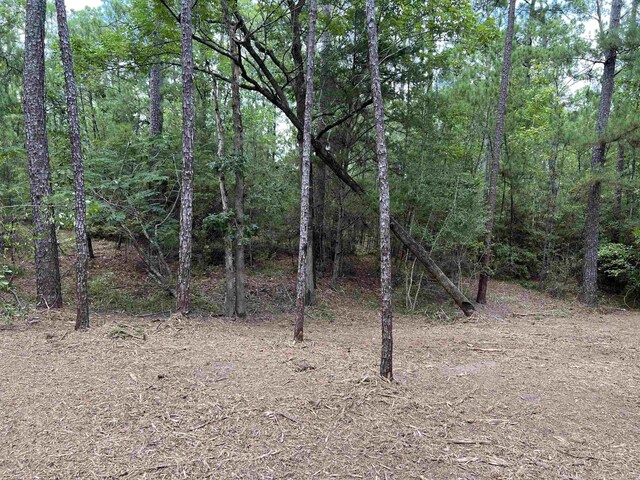 6566 Parkside Dr, Brookeland, TX 75931