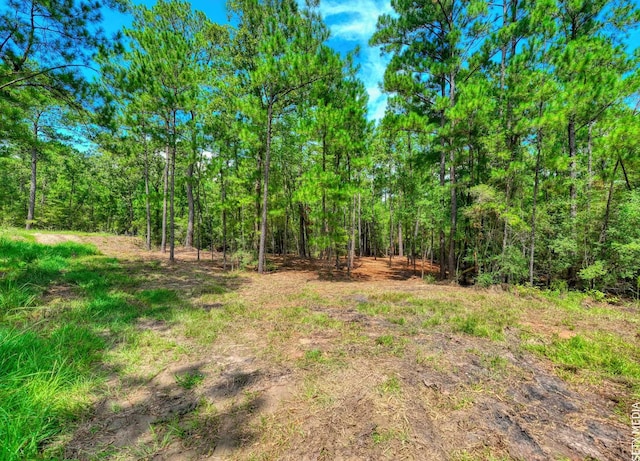 6566 Parkside Dr, Brookeland, TX 75931