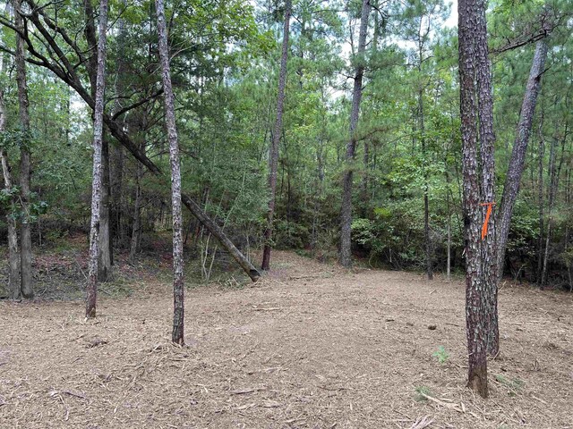 6566 Parkside Dr, Brookeland, TX 75931