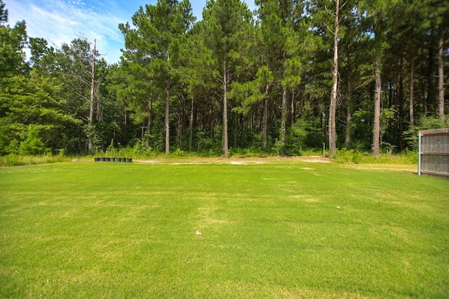 180 Dena Kay Dr, Lufkin, TX 75904 - photo 41