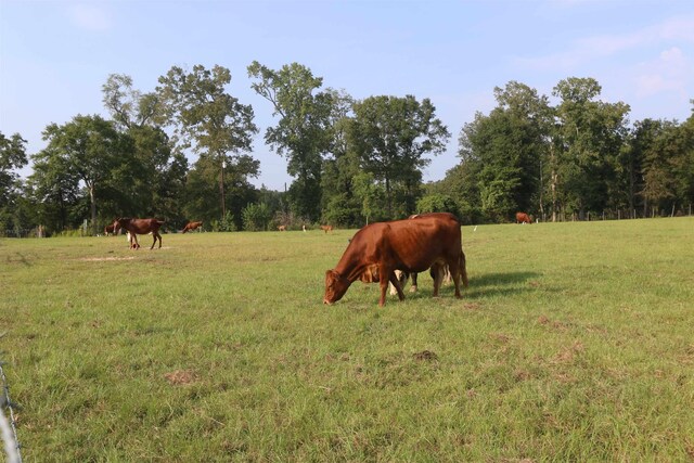 612 County Road 2004, Newton, TX 75966 - photo 23