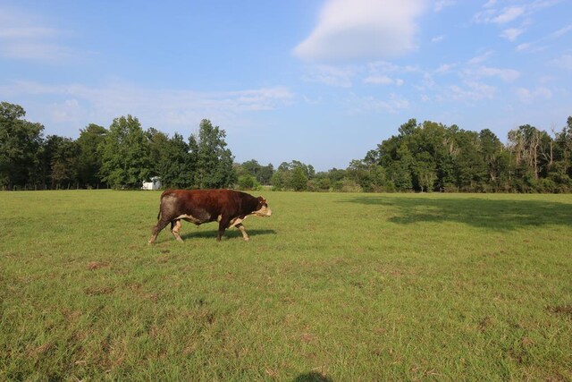 612 County Road 2004, Newton, TX 75966 - photo 29
