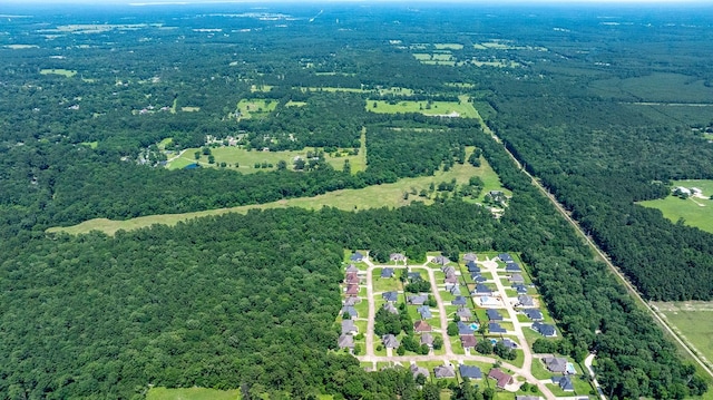4207 S Chestnut St, Lufkin, TX 75901 - aerial perspective of suburban area with a forest