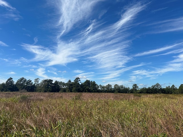 Listing photo 2 for TBD County Road 737, Buna TX 77612