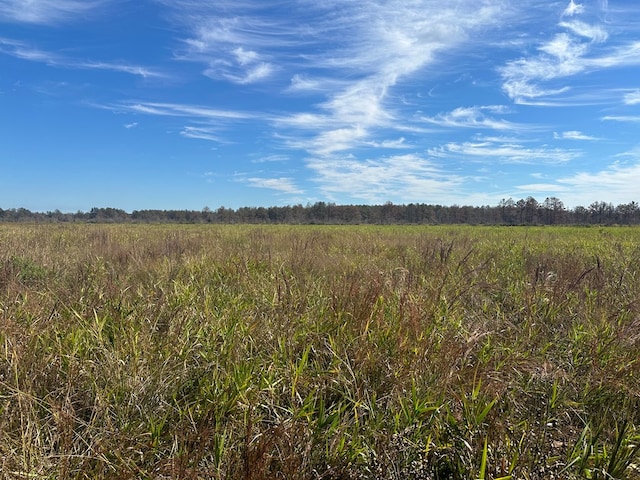 Listing photo 3 for TBD County Road 737, Buna TX 77612