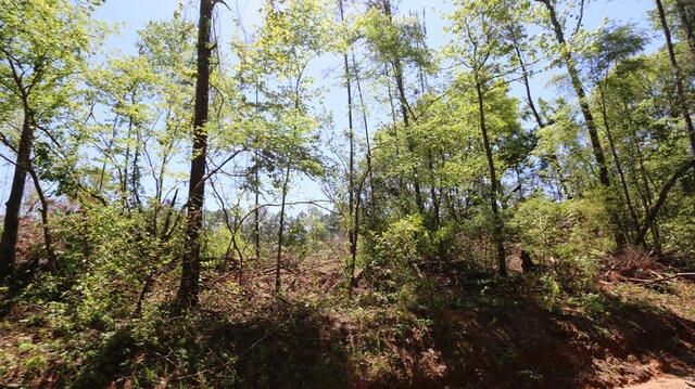 8262 County Road 1052, Wiergate, TX 75977 - photo 9
