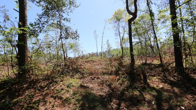 8262 County Road 1052, Wiergate, TX 75977 - photo 6