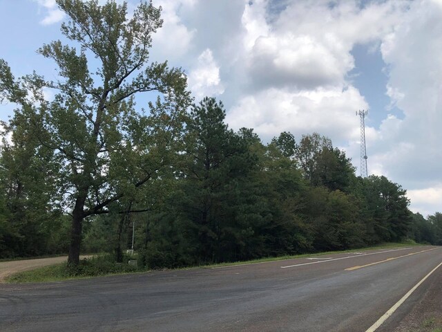 8262 County Road 1052, Wiergate, TX 75977 - photo 4