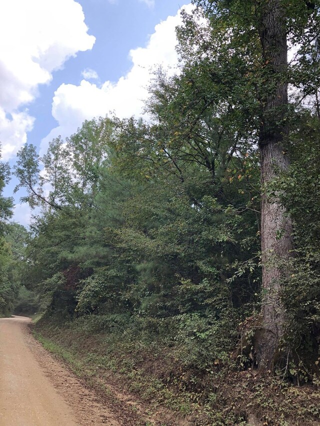 8262 County Road 1052, Wiergate, TX 75977 - photo 3